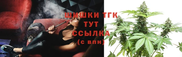 ПСИЛОЦИБИНОВЫЕ ГРИБЫ Аркадак