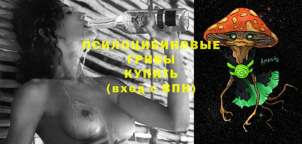 спайс Алексин